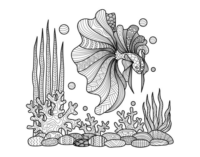 Coloriage Adulte Zentangle Poisson Sur Coraux Par Bimdeedee - Adulte à imprimer